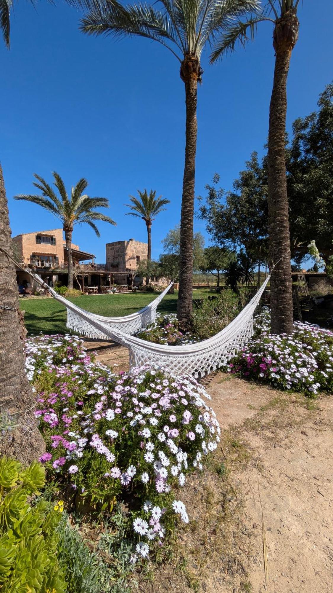 Sant Blai Landhuis Campos (Mallorca)