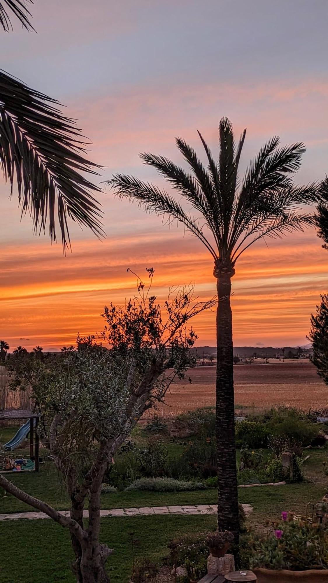 Landhuis Sant Blai Campos (Mallorca)