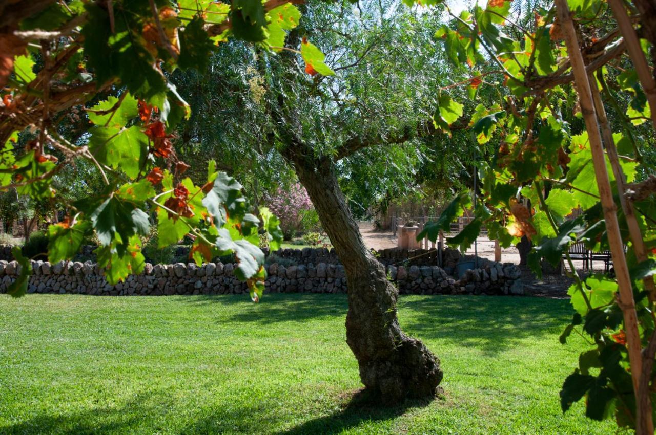 Sant Blai Country house Campos (Mallorca)