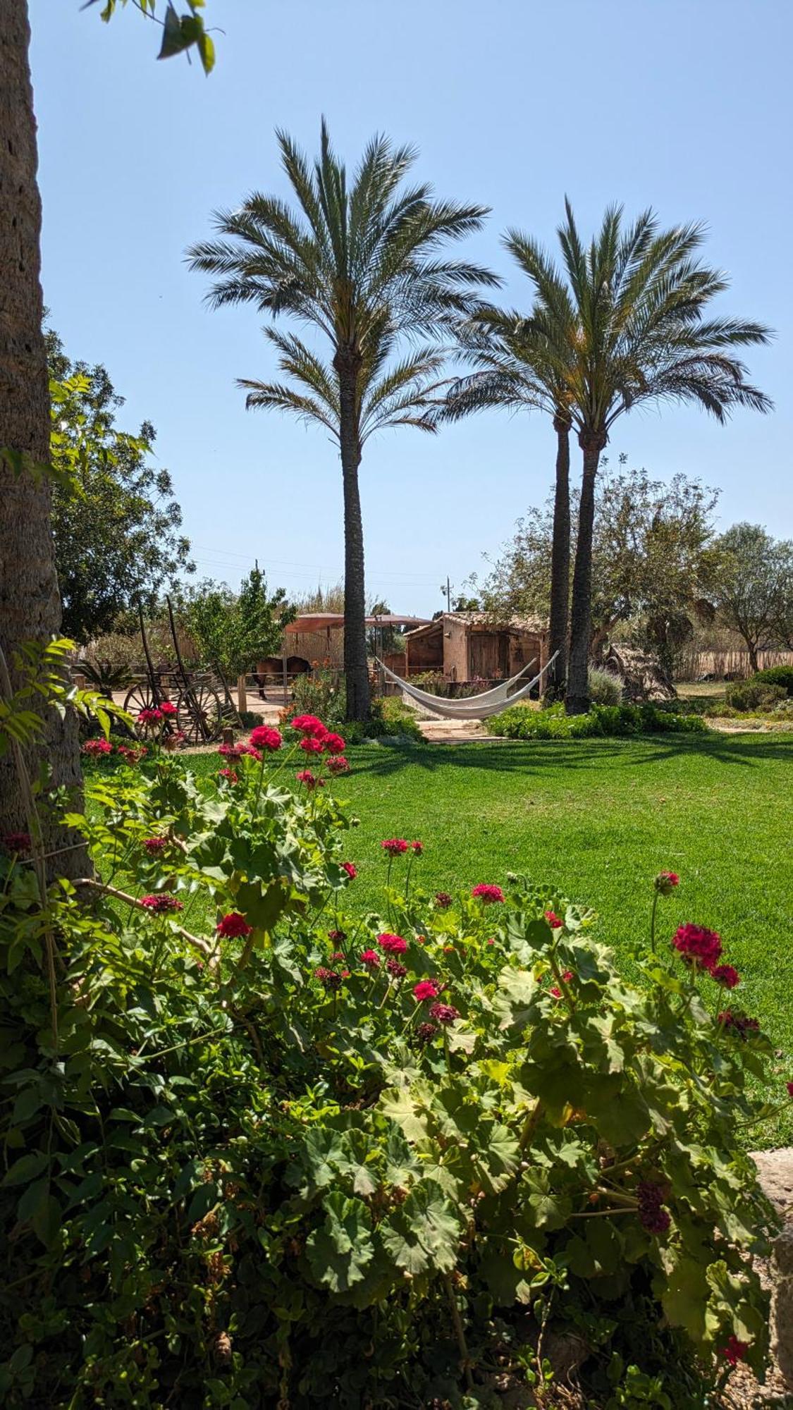 Landhaus Sant Blai Campos (Mallorca)